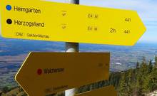 gelbe-Schilder-Ammg-Alpen